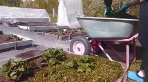 Мульча в природном земледелии.