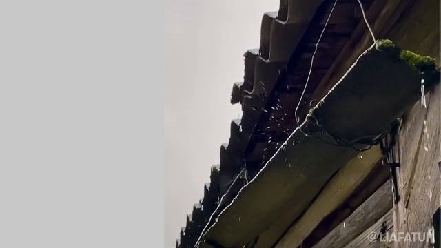 Кесовогорский район