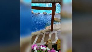Xperience Sea Breeze resort 5* Шарм Ель шейх