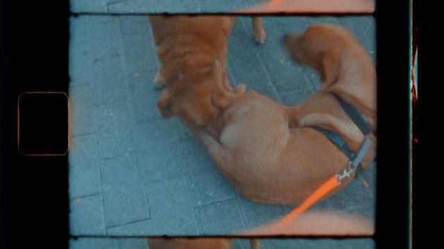 Is This My New Favorite Canon Camera? смотреть онлайн