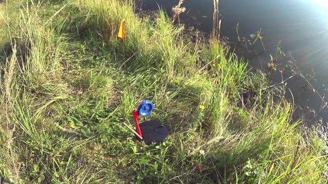 Расставил зимние жерлицы на берегу и не поверил результату, сентябрь 2024 жор щуки. смотреть онлайн