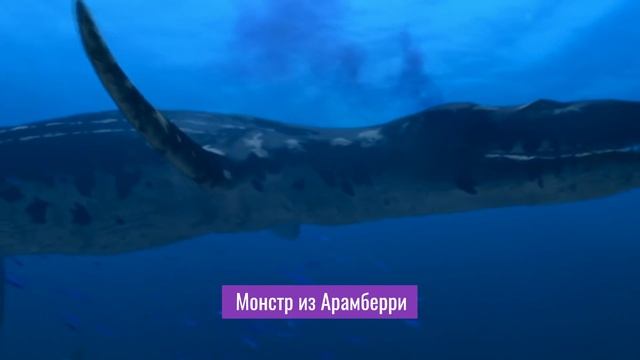 Научный разбор "Прогулки с Динозаврами" Серия 3 - Жестокое Море