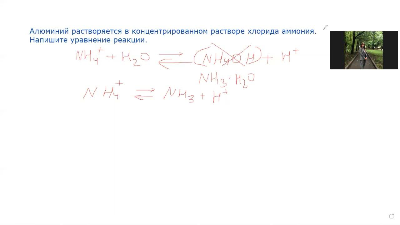 Амфотерные металлы семинар 1 Al + NH4Cl