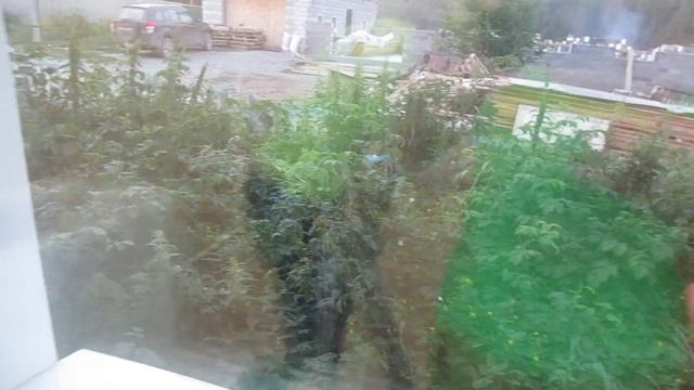 Ремонт на бюджете в спальне и в коридоре\ красим виниловые обои\ клеим обои смотреть онлайн