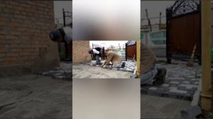 Быстрая укладка тротуарной плитки по маякам