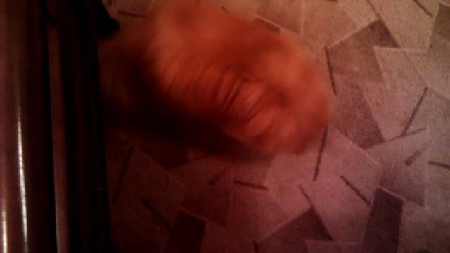 Я теперь знаю, куда пропадает второй носок!!! смотреть онлайн