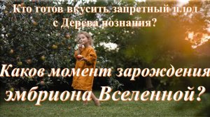 Каков момент зарождения эмбриона Вселенной?