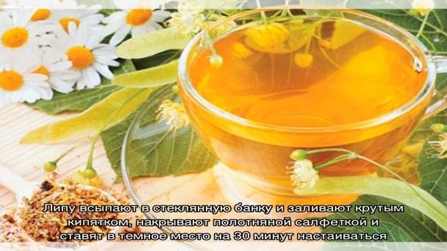 Полезные свойства цветков и листьев липы. Как заваривать липу при простуде? смотреть онлайн