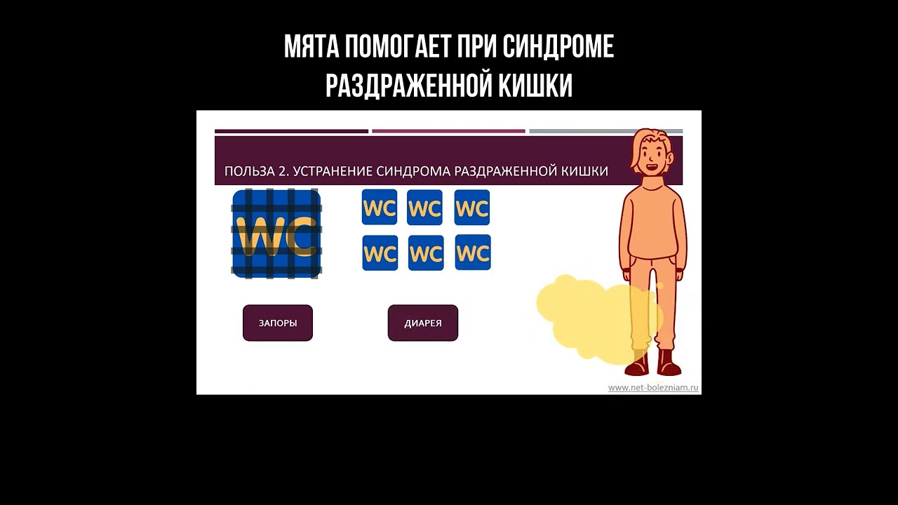 Мята помогает при синдроме раздражённой кишки