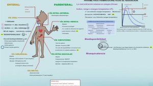 TEMA 1: FARMACOCINETICA: Absorción y vías de administración. #Farmacología