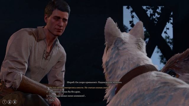 Шкряб и Медвесыч подружились:) Baldur's Gate 3 смотреть онлайн