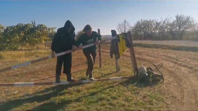 Всё как всегда 🤣
