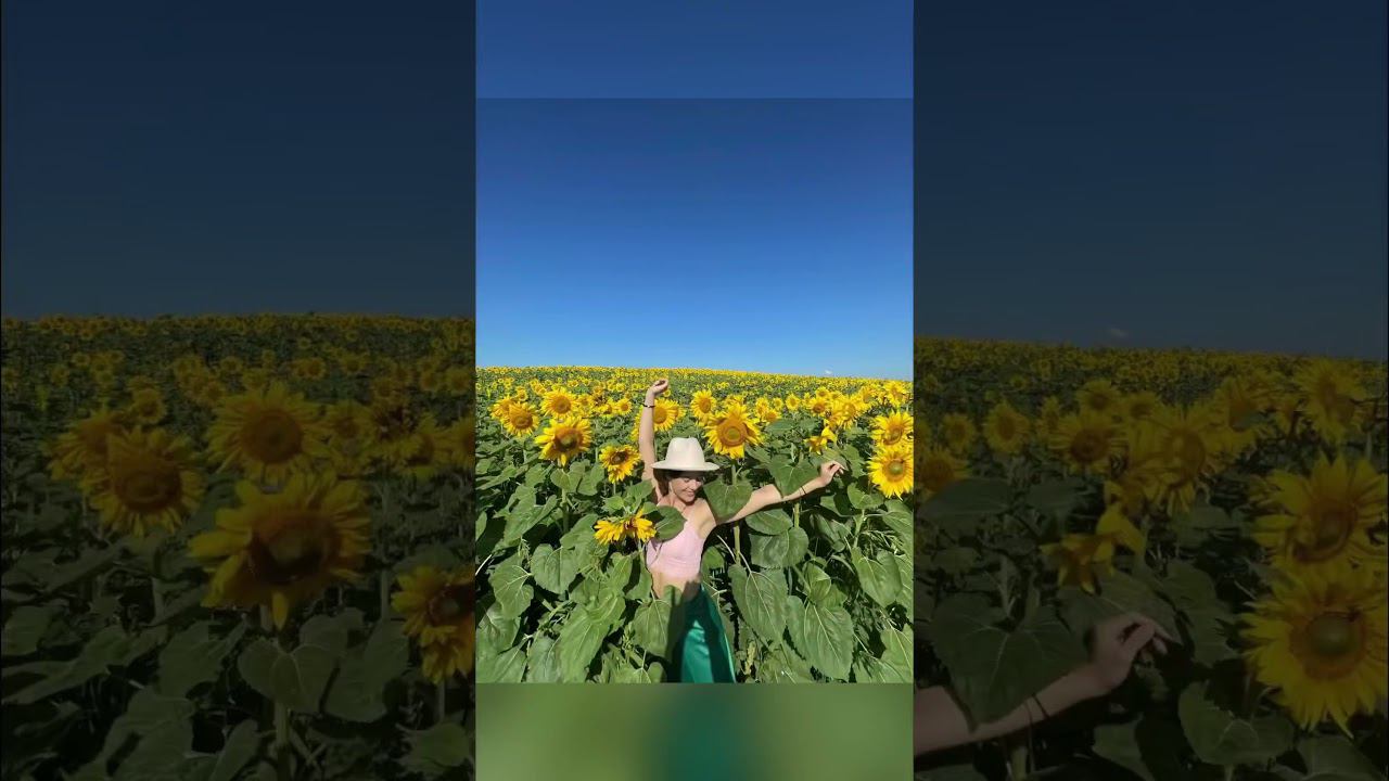 Летом на #Алтае цветут шикарные поля   #алтай #йогапутешествие