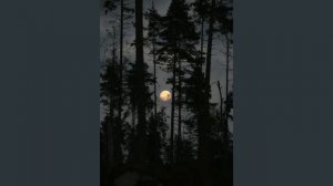 Сын луны // sped up