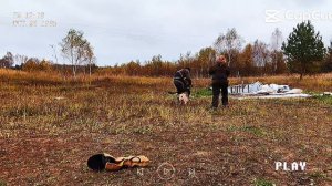 Калуга - Витязь Амелия