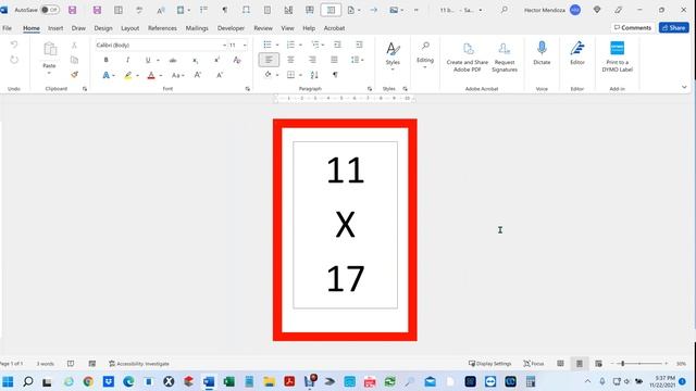 Print in Microsoft Office 365 Word (MS Word)