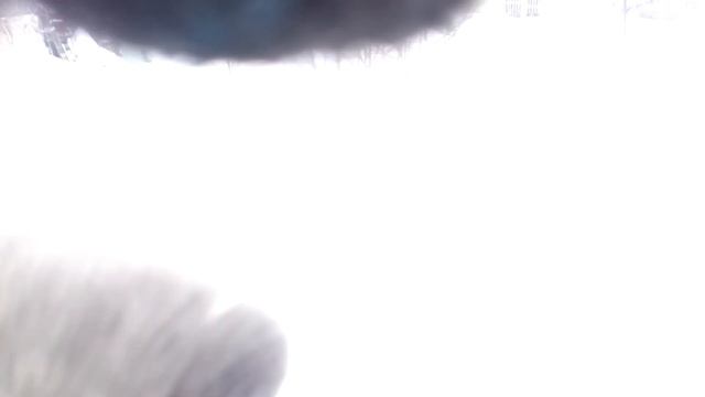 Снегоход медведица Янв. 2019 смотреть онлайн