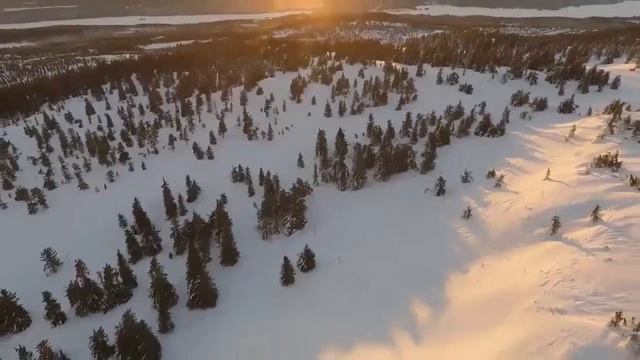 Как зарабатывать в Яндекс Дзен смотреть онлайн