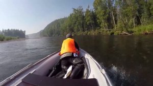 На винте по мелкой реке! Рассказываю про свой опыт! Solar 420 Strela мотор Suzuki 20.