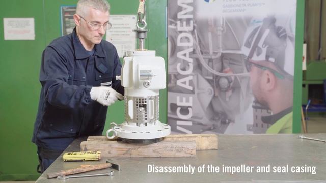 Gabbioneta Pumps® - R-Type Mechanical Seal Disassembly смотреть онлайн