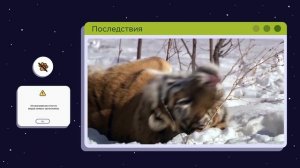 ВЫРУБКА ЛЕСА