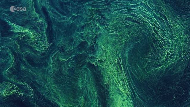 Earth from Space: Gotland Baltic blooms