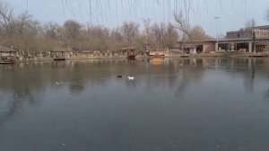 Furqat bog'i, парк Фуркат