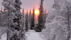 САЛЬВАТОРЕ АДАМО - ПАДАЕТ СНЕГ_WMV V9