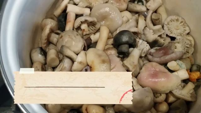 Архиерейский (монастырский) рецепт засоли грибов. Часть 2 смотреть онлайн