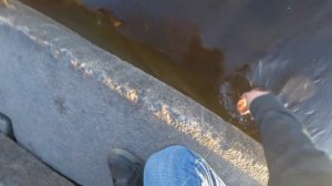 РЫБАЛКА В ГОРОДЕ НА ГОРБАТОГО ОКУНЯ 2023 САМОЕ УДАЧНОЕ ОТКРЫТИЕ СЕЗОНА ЖИДКОЙ ВОДЫ НА НЕВЕ В СПБ