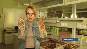 Стройматериалы из семечек? О безотходном производстве рассказали алтайские ученые