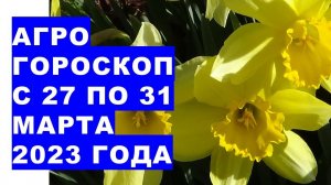 Агрогороскоп с 27 по 31 марта 2023 года. Агрогороскоп з 27 по 31 березня 2023 року