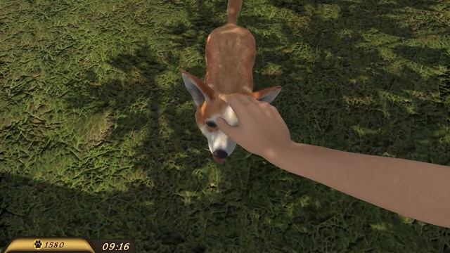 Отель для Животных Кид #1 Симулятор Кошки и Собаки в Pets Hotel Prologue на Пурумчата