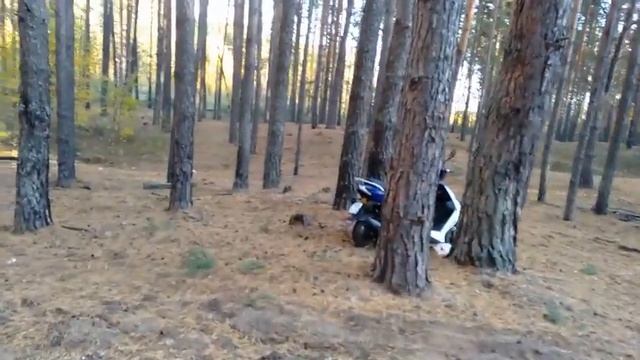 СКУТЕР "МОТОЛЕНД FS"/ЗАВЕРШЕНИЕ МОТОСЕЗОНА/ПРОГУЛКА ПО ЛЕСУ В НЕФТЕКАМСКЕ смотреть онлайн