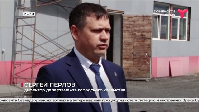 Приют для животных в Ишиме