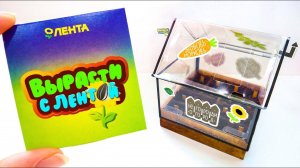 ДОМИК для ОВОЩЕЙ Вырасти с ЛЕНТОЙ Новая АКЦИЯ