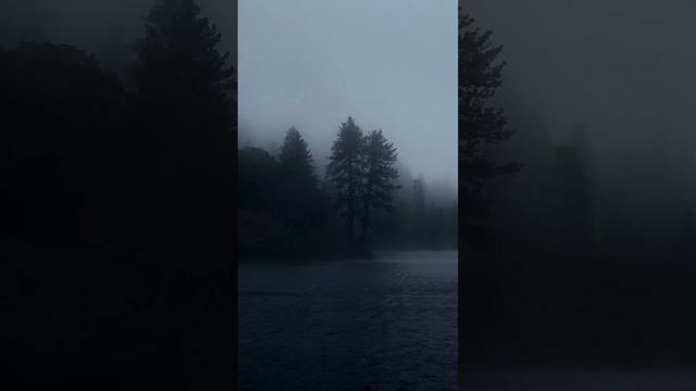 Душевное спокойствие смотреть онлайн