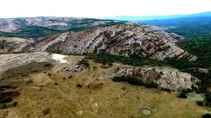 Пчелиное Крым