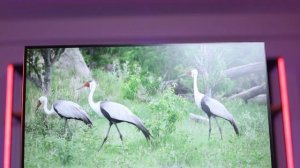 Monitor Dahua DHI-LM27-B201S