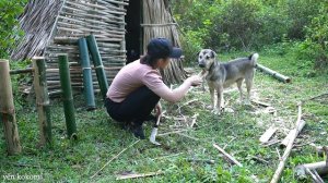 Full video - Challenge Camping alone in the wilderness - Danger in the dark - Living Off Grid