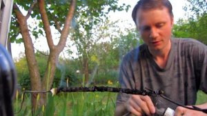 ✅На что способна микроволновка! Высоковольтная дуга