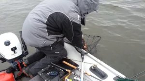 Судак 7.9 на джиг ноябрь Можайское водохранилище.