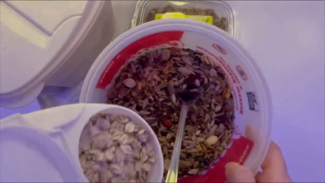 МЕШАНИНА ДЛЯ ХОМЯКА смотреть онлайн