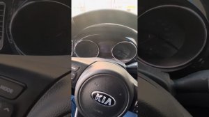 Киа Карнивал 3, -24, зимняя эксплуатация