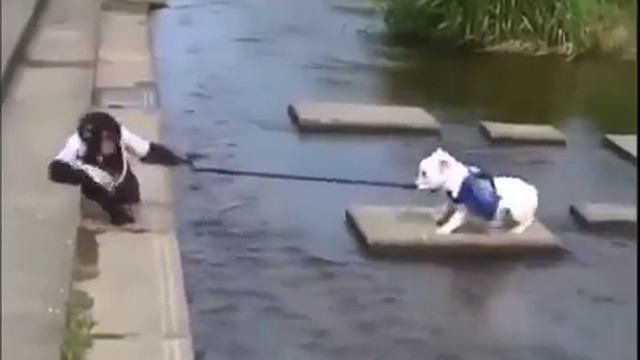 В школу