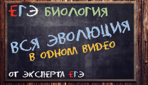 Вся эволюция ЕГЭ тут от эксперта ЕГЭ | Биология ЕГЭ