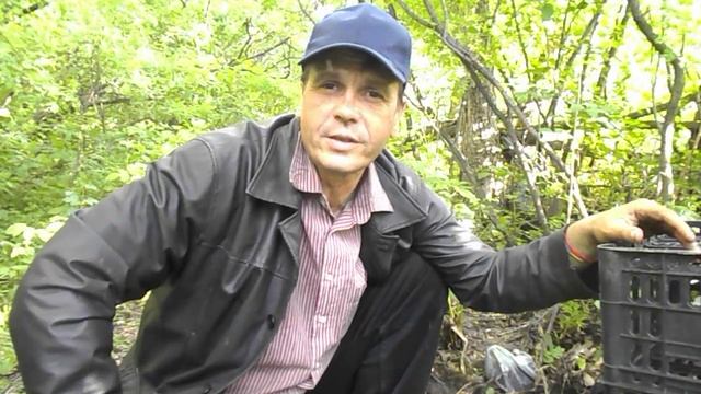 Лечение  желчных  протоков. смотреть онлайн