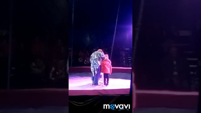 энем цирк москва 11 11 2018 смотреть онлайн