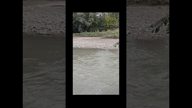 Утро l Река l Фото природы l Пение птиц l Шум реки для релакса