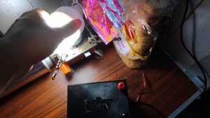 Рыбалка на реке Омь с Алексеем. Толстые караси и Щуки.